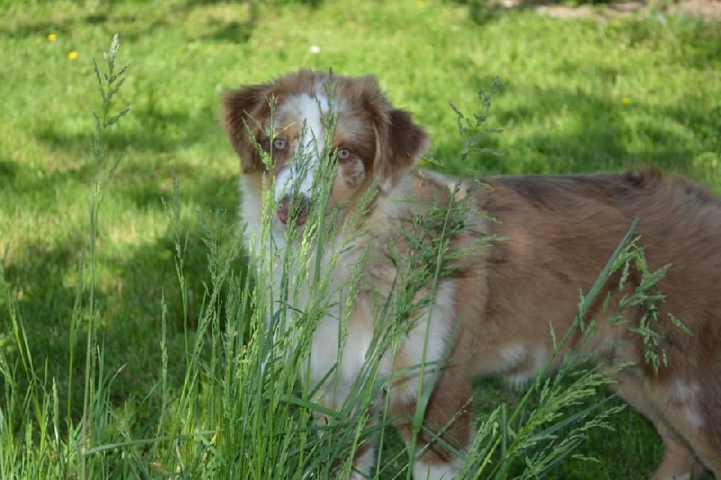 Love candy really sweet De La Plaine A Demphis